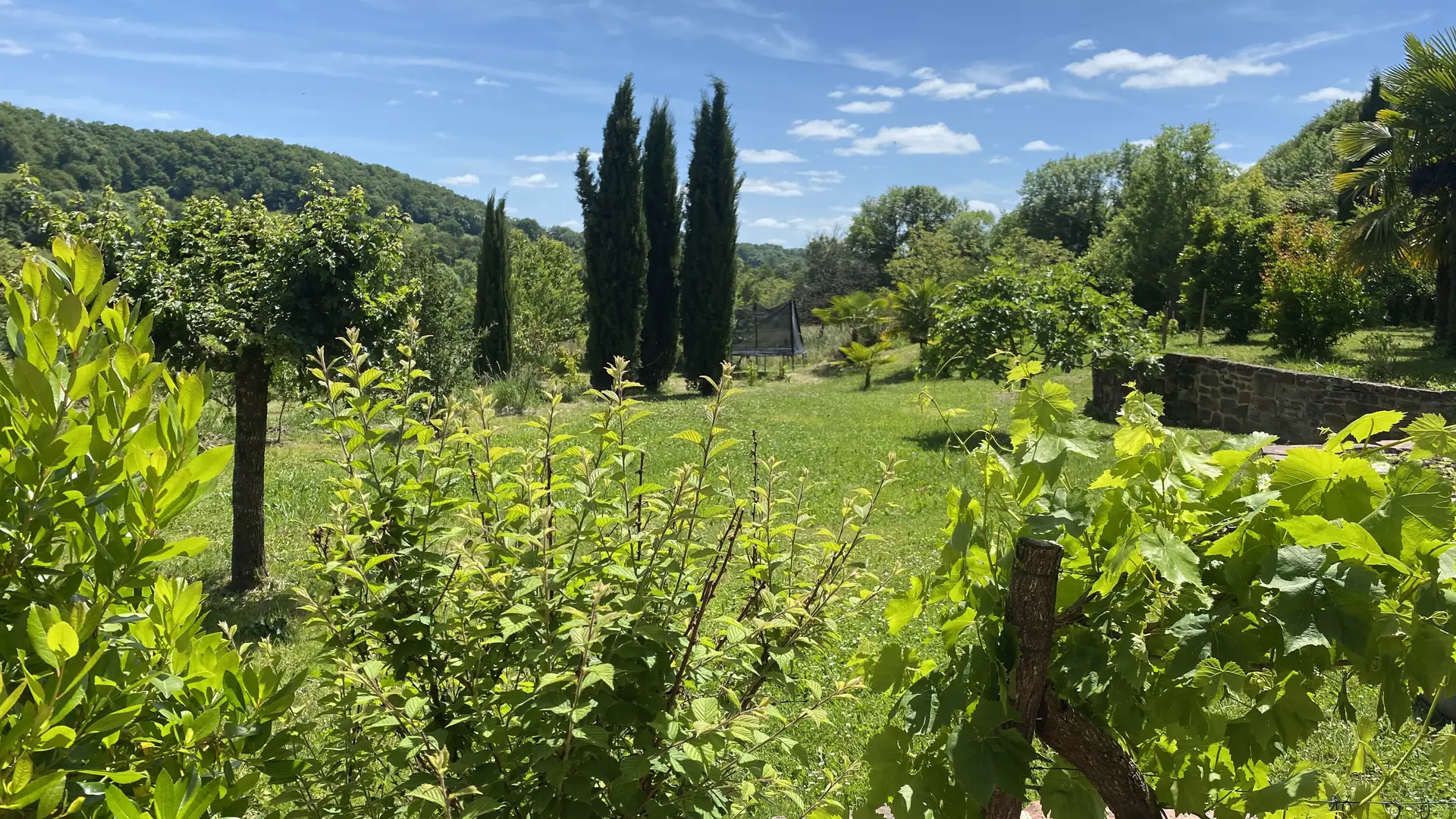 Vue sur jardin 2