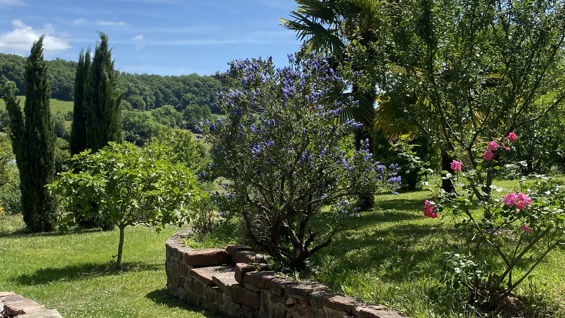 Vue sur jardin 1