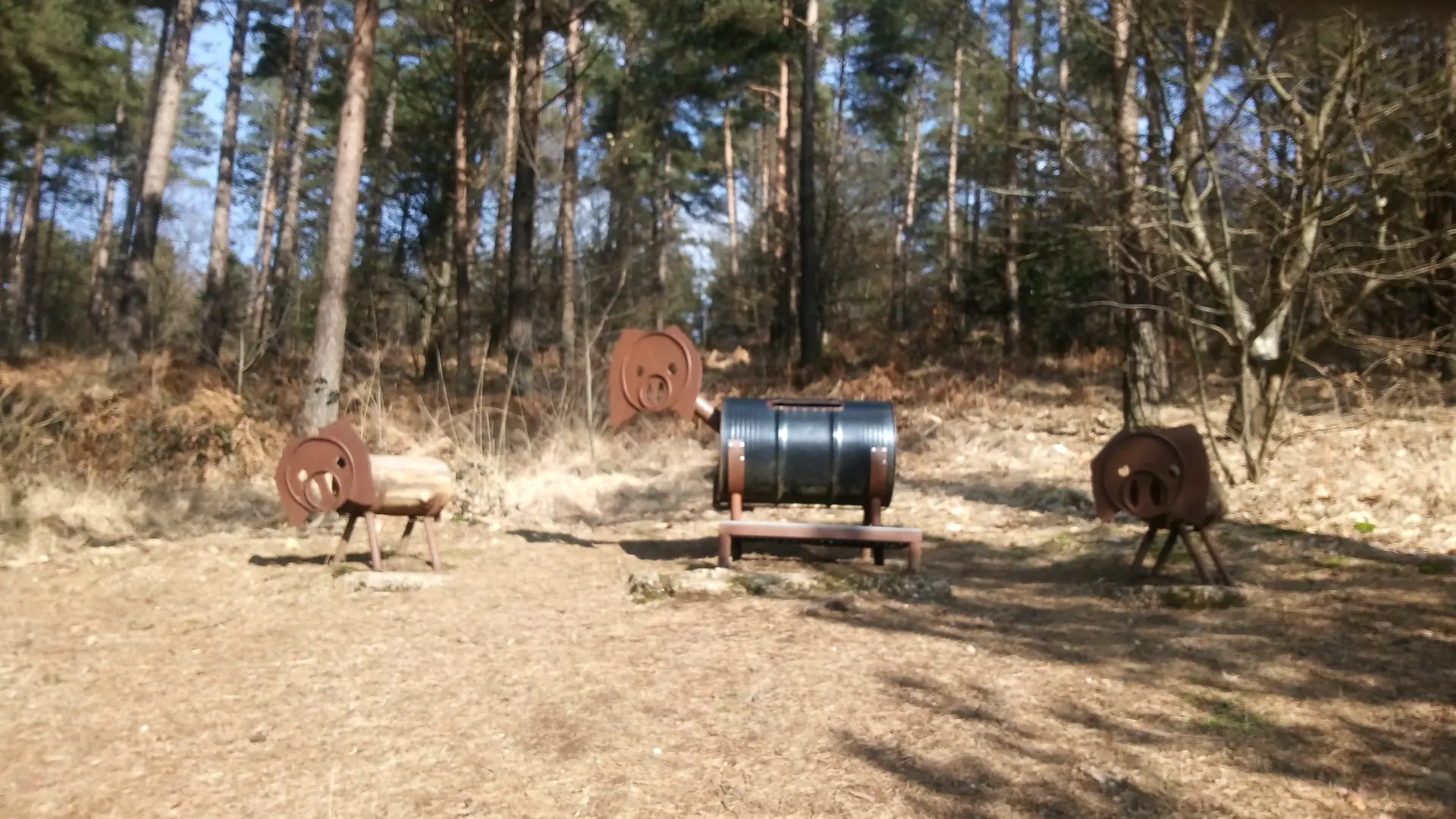 Sente aux cochons Neuville Copy