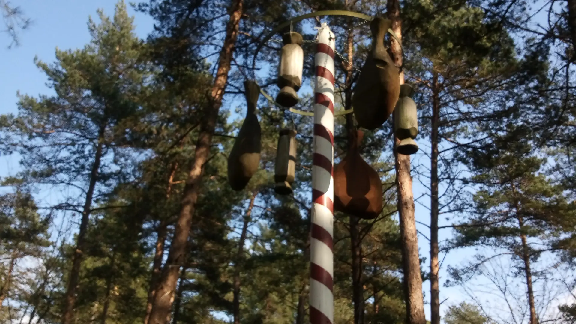 Sente aux cochons Neuville Copy