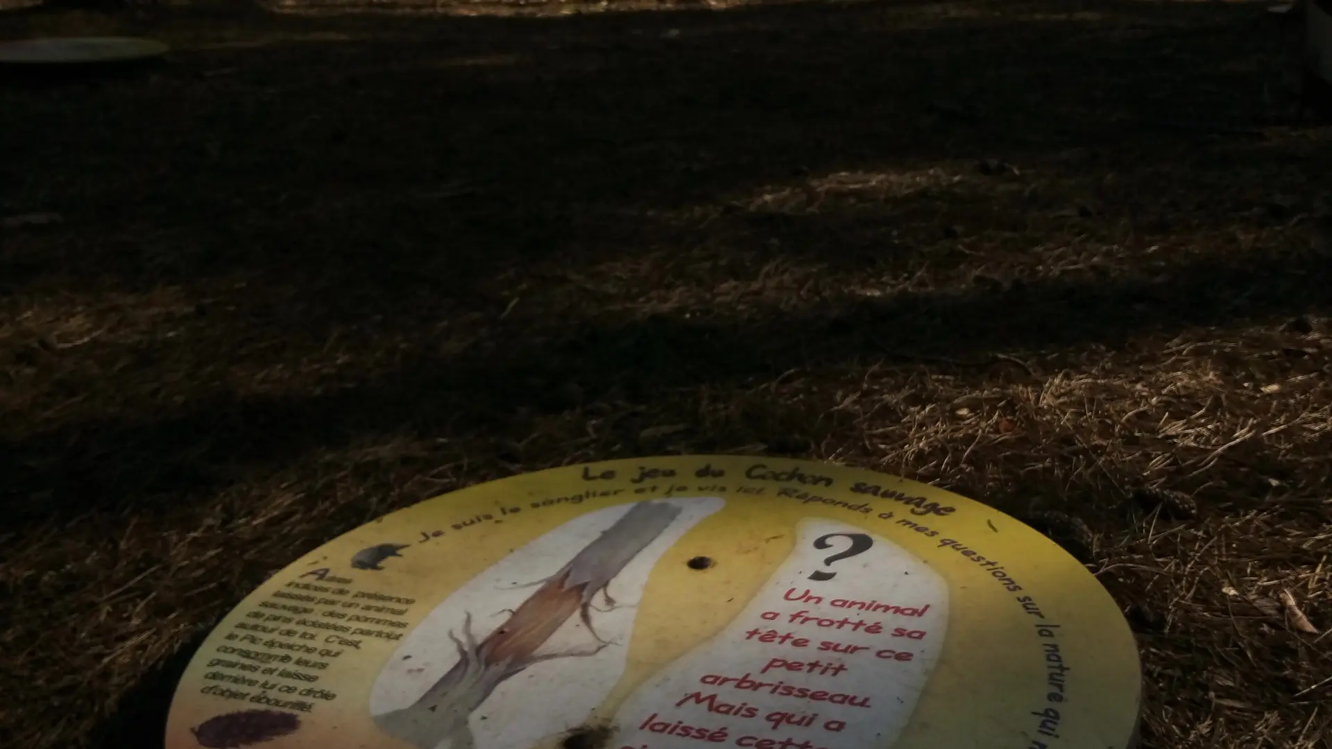 Sente aux cochons Neuville Copy