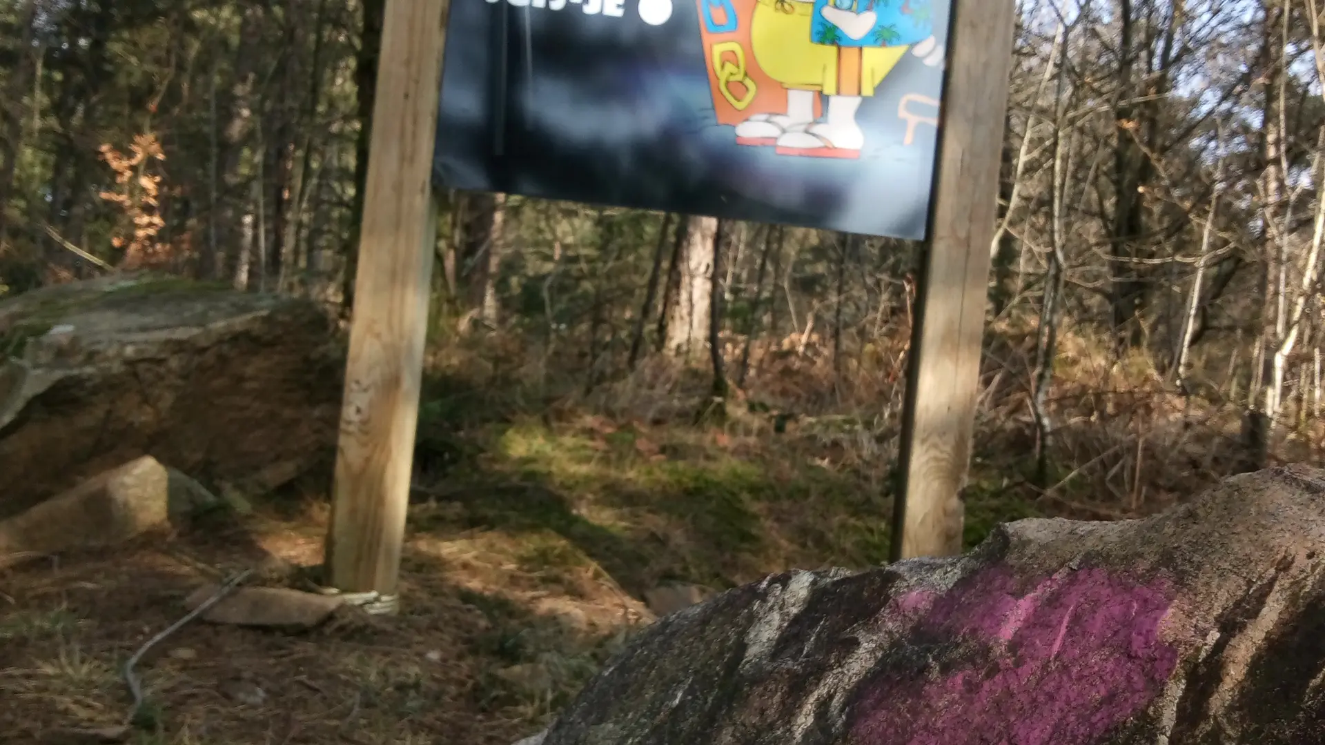 Sente aux cochons Neuville Copy