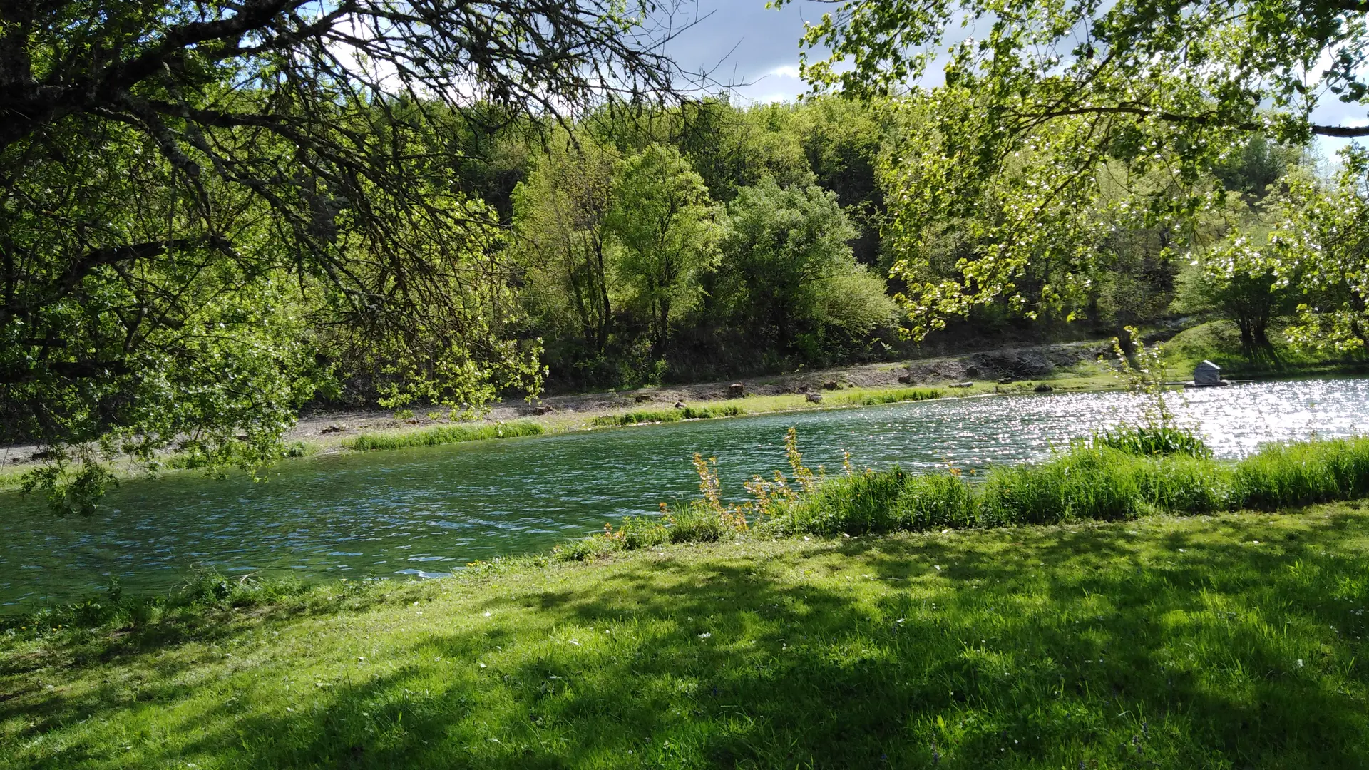 Etang de pêche