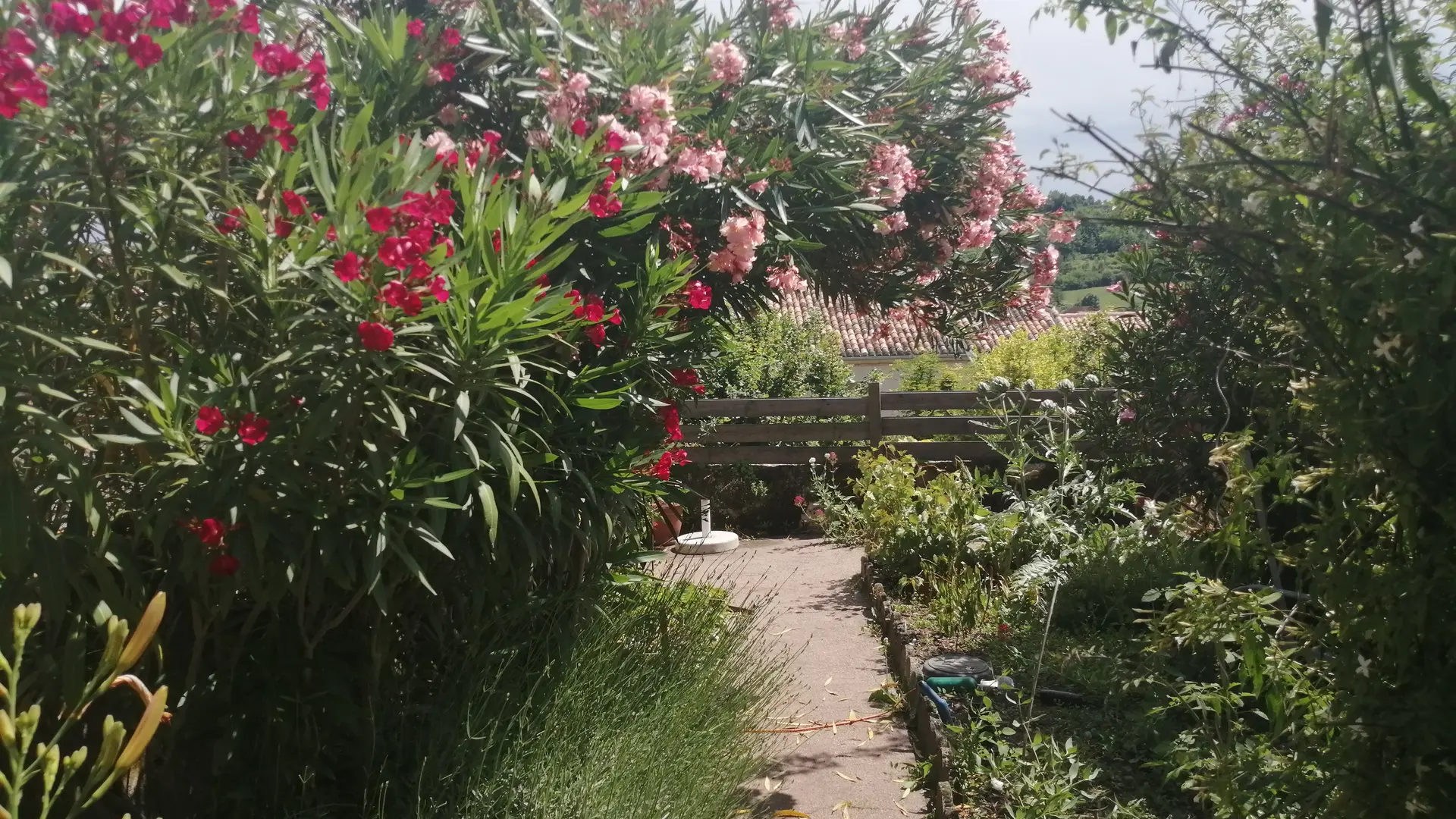 La terrasse - jardin.