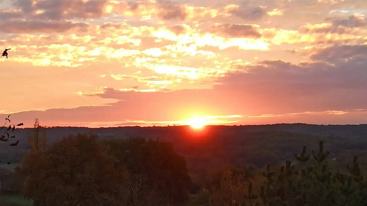 Orchidée Sauvage : coucher de soleil