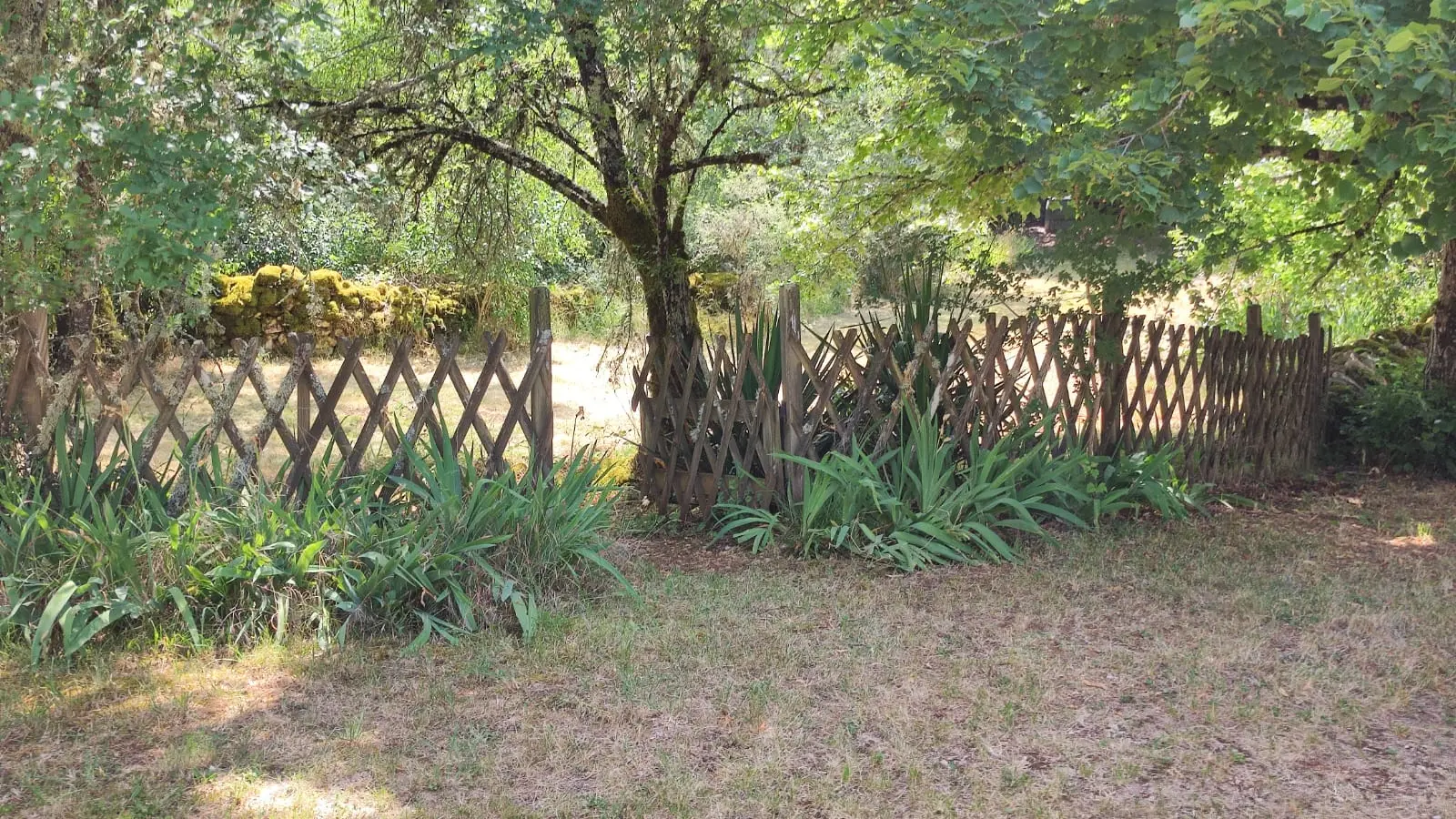 Jardin devant la maison