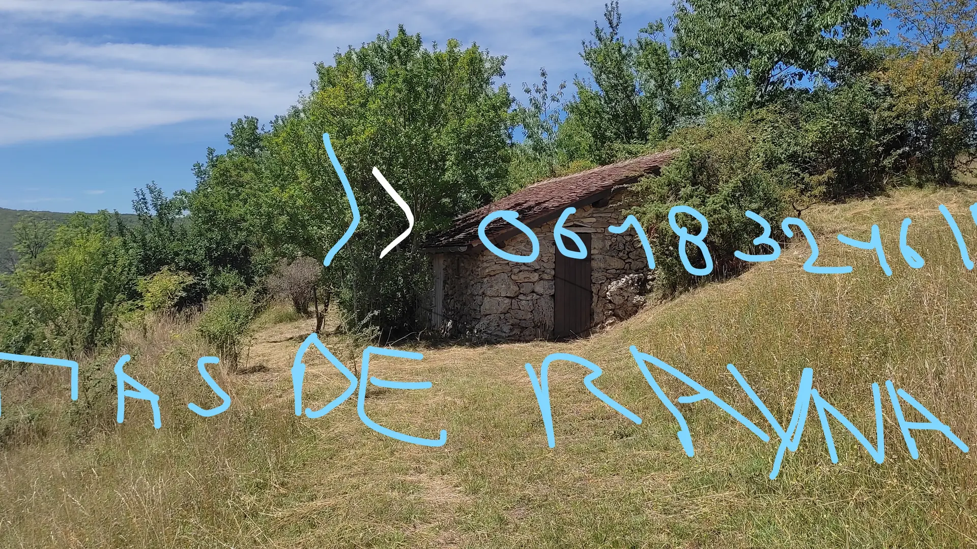 cabane a ane