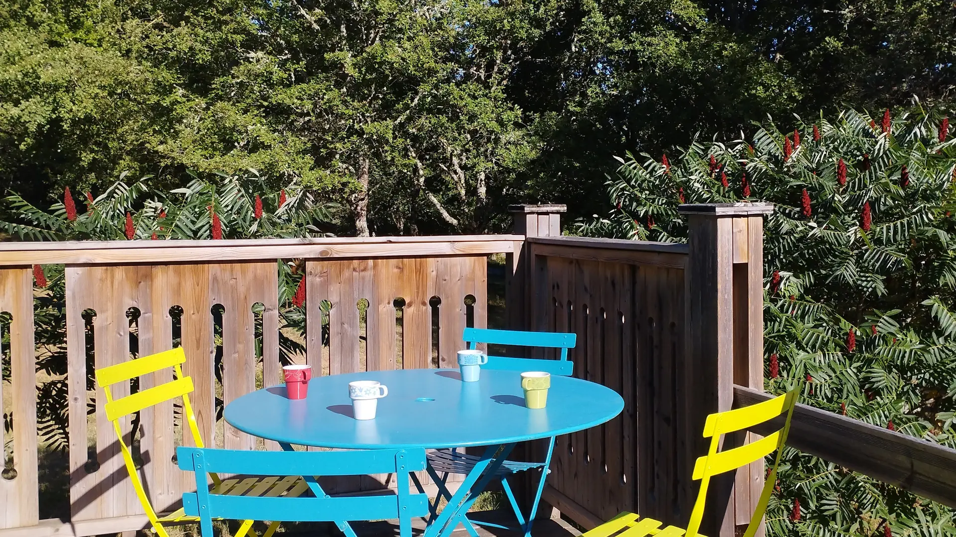 Terrasse dans la nature