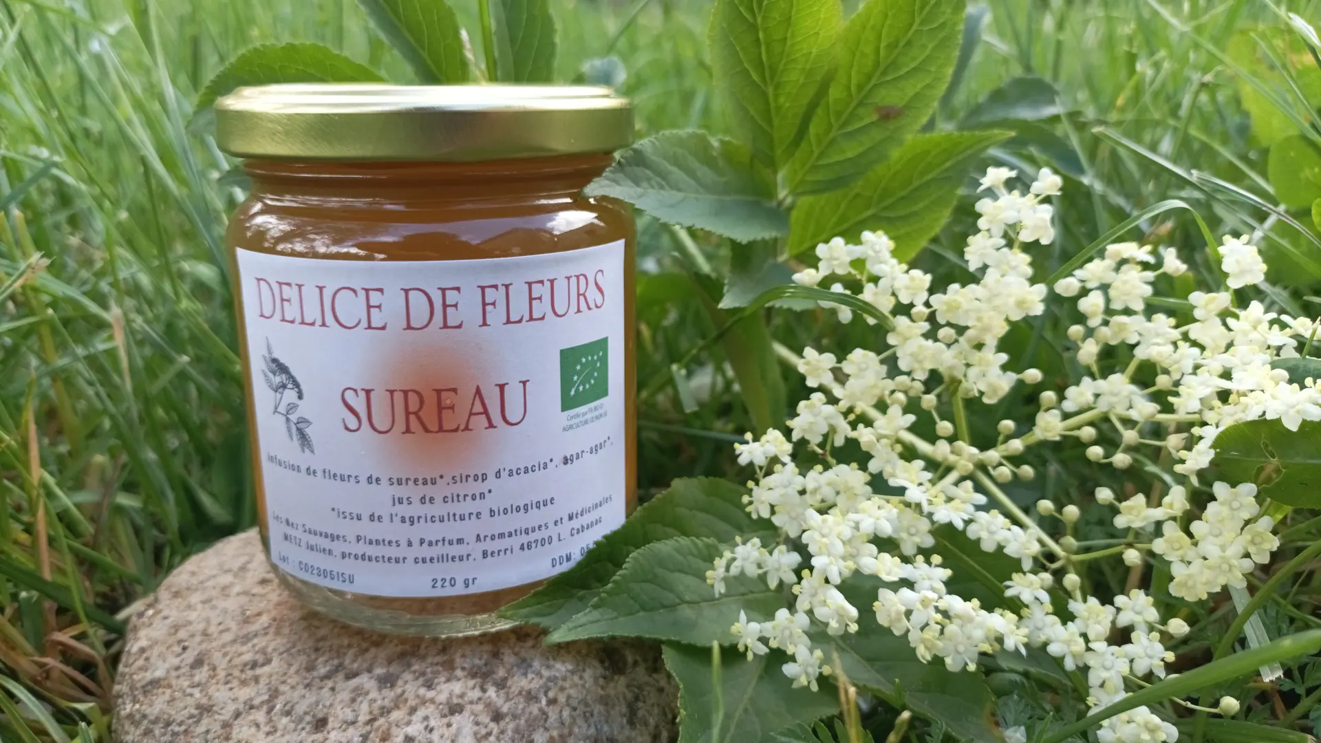 Confiture et gelées