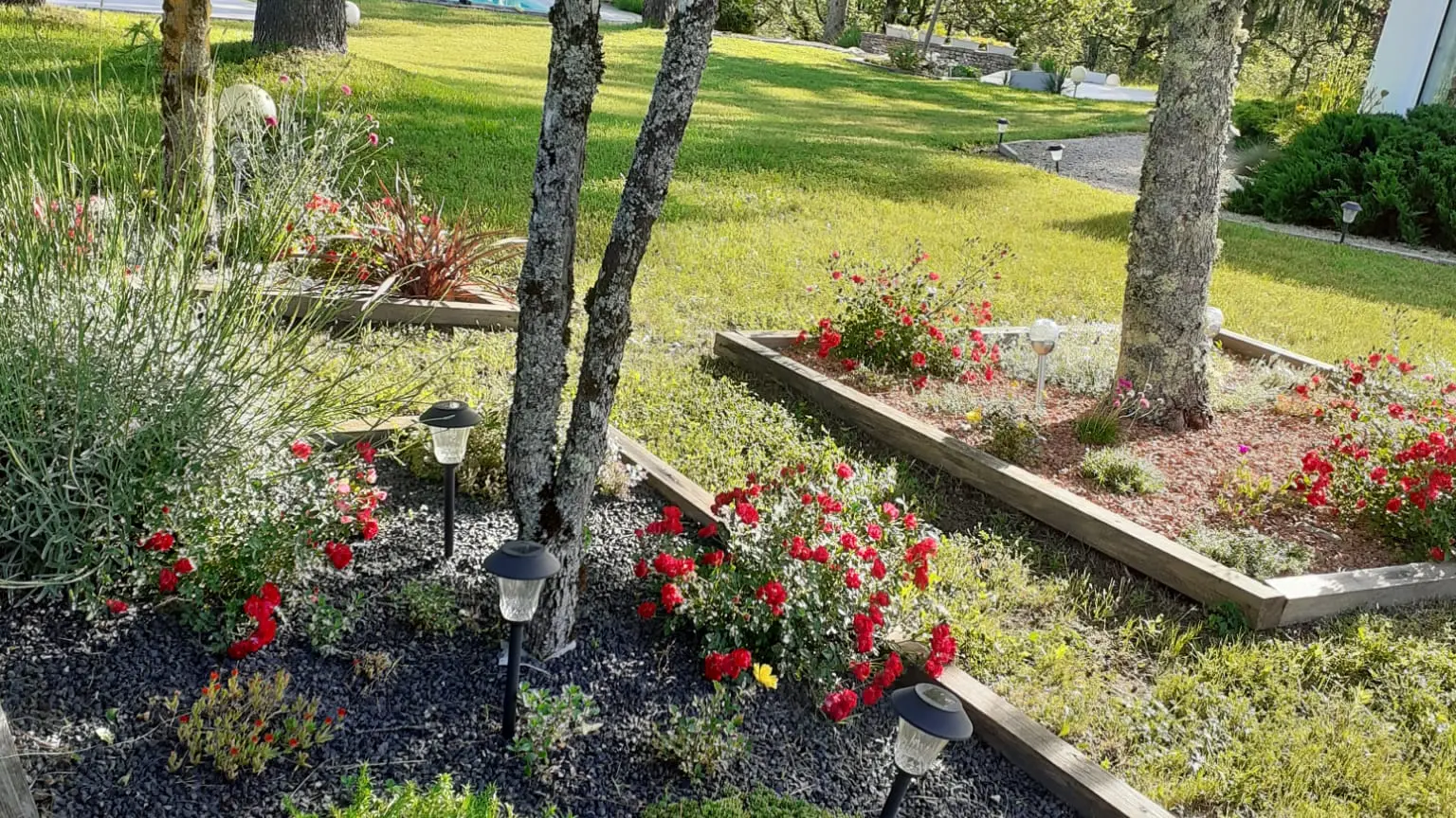 parterres de fleurs