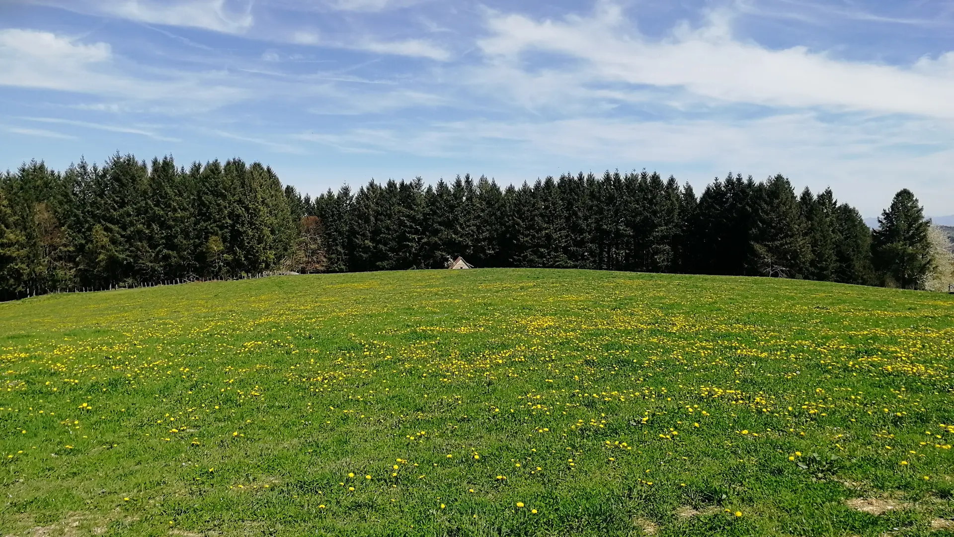 vue