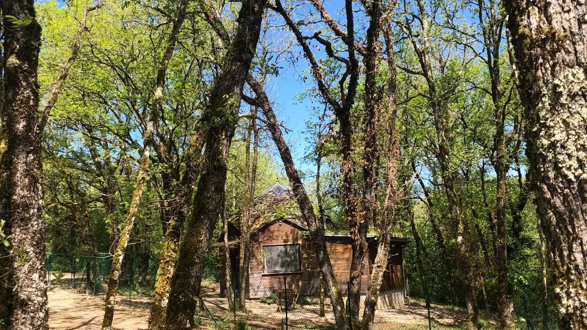 Il était un Zome - extérieur - bois