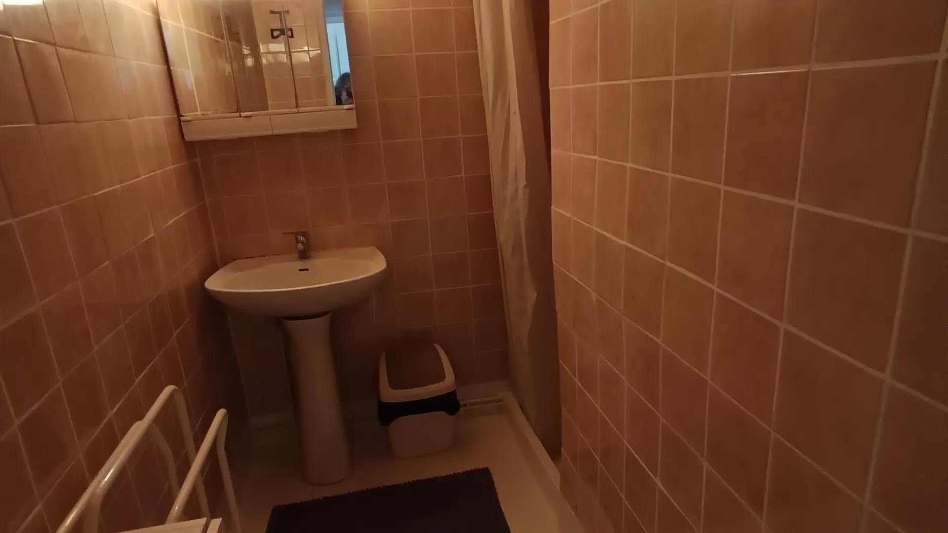 Salle d'eau avec douche à l'italienne et wc