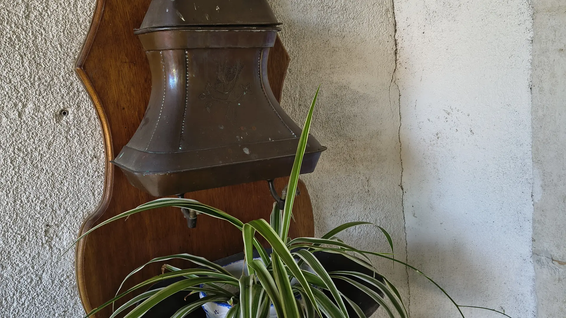 IMG_20260618_115426972_HDR