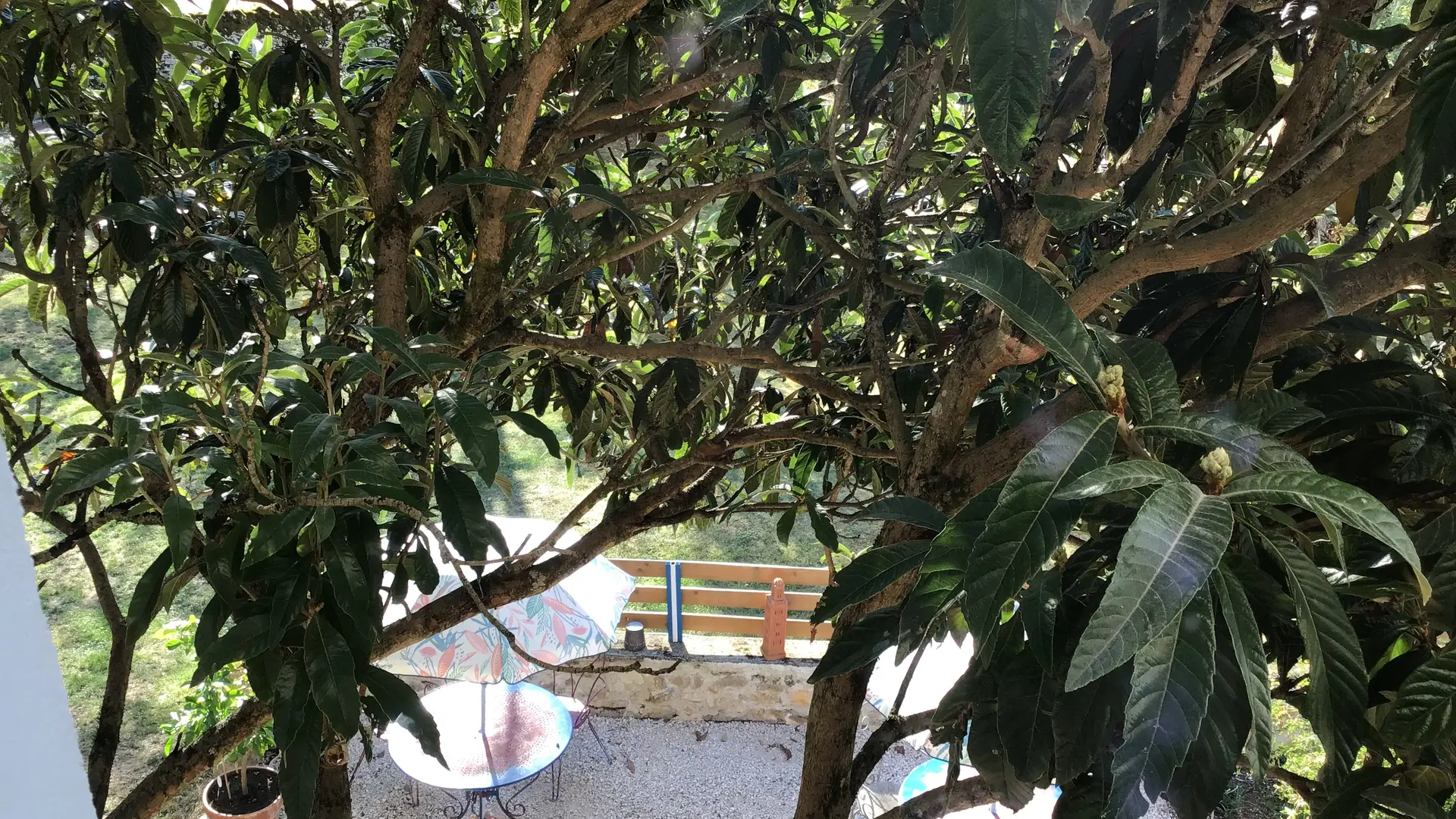 IMG_3774 vue du studio (cabanon) fenetre cuisine