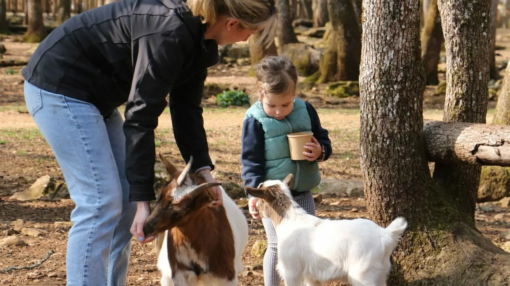 Ménagerie des Petits