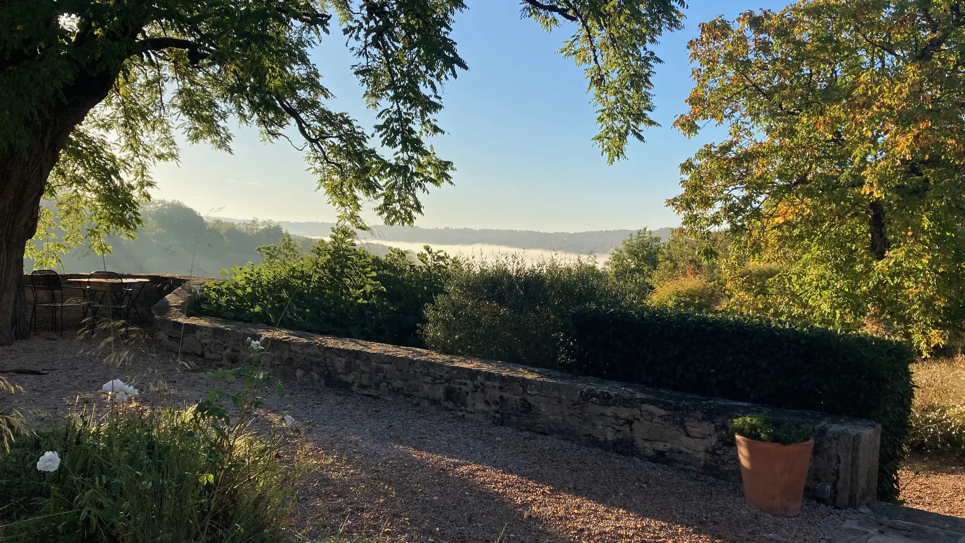 brume en contre plongée