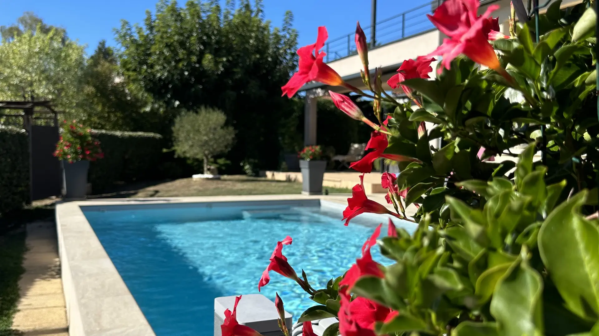 La piscine en fleurs