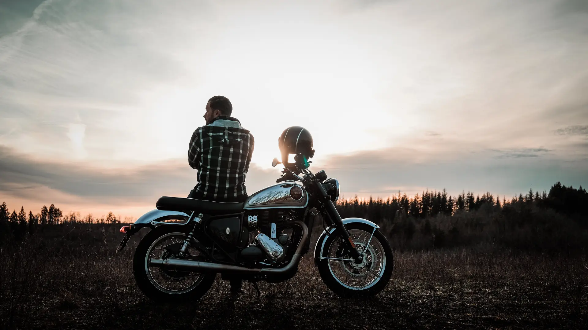 BSA Goldstar Legacy