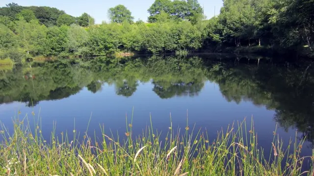 Etang de pêche