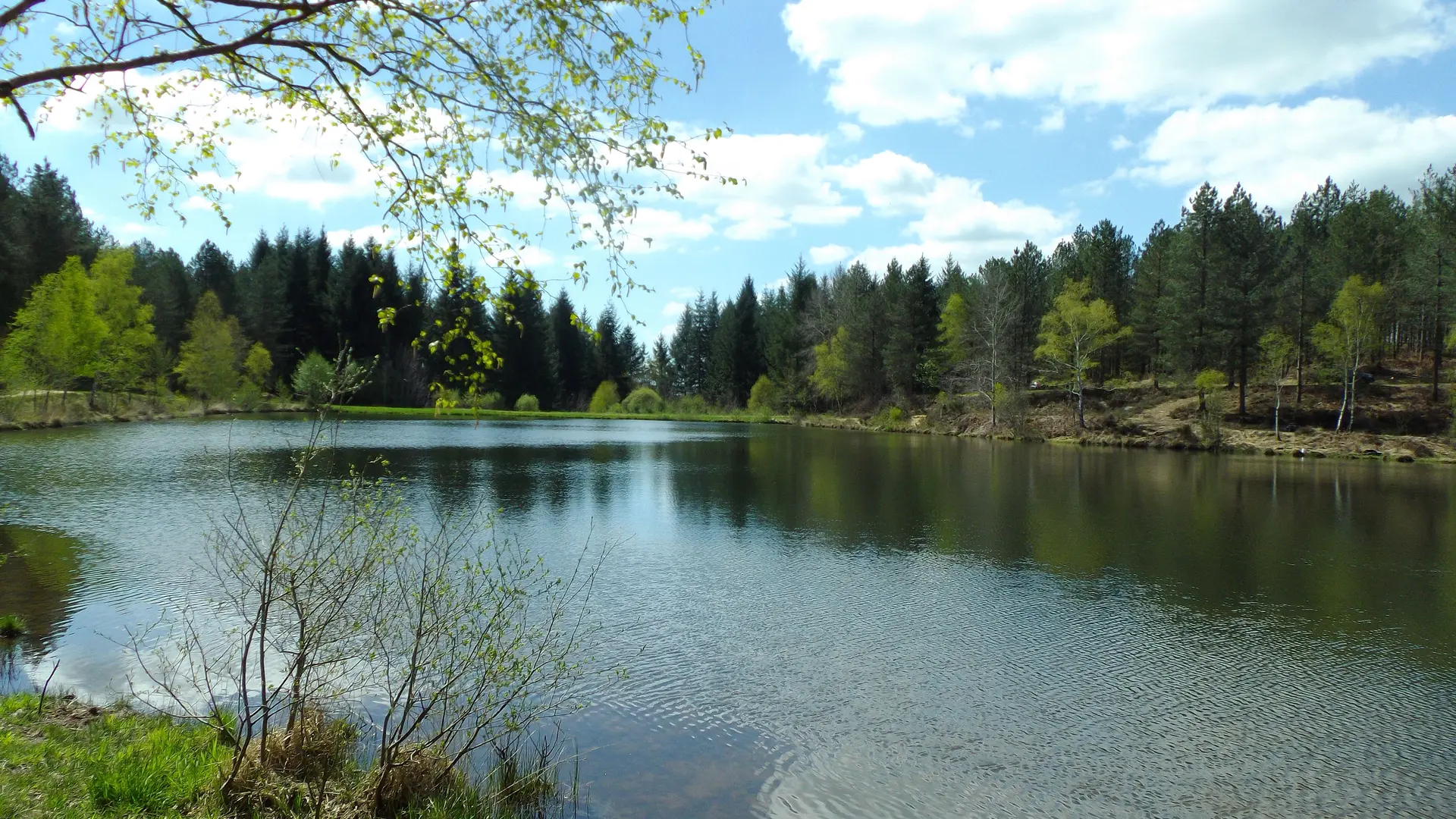 Plan d'eau de sagne