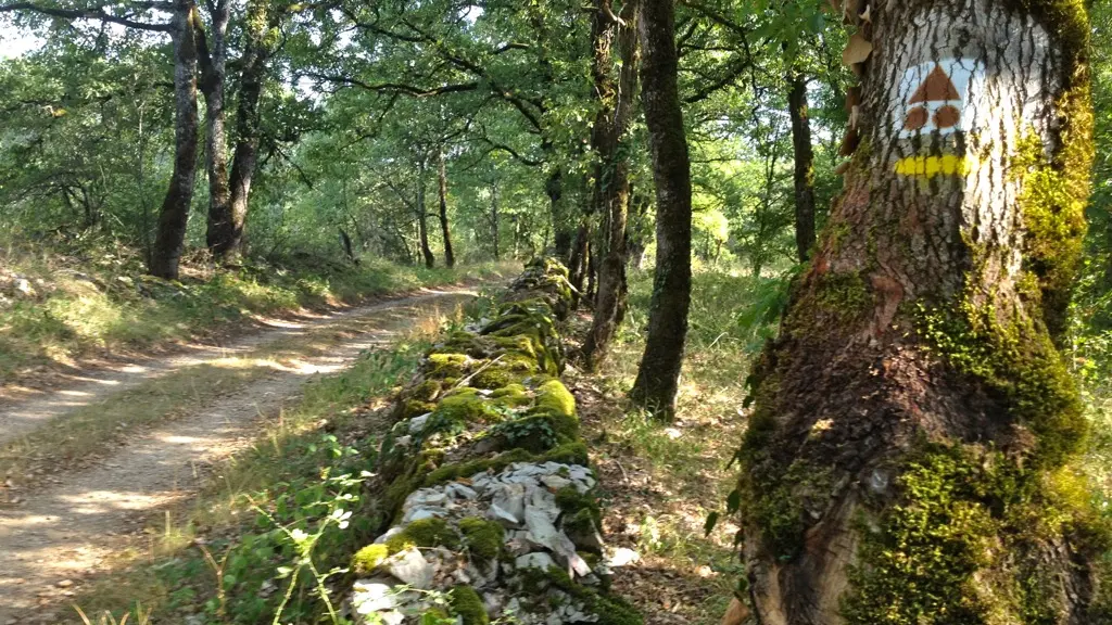 Chemin Autour du Mas