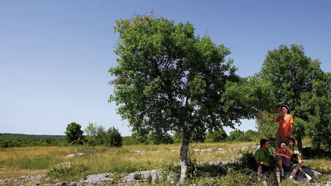 Sur le Causse d'Issendolus