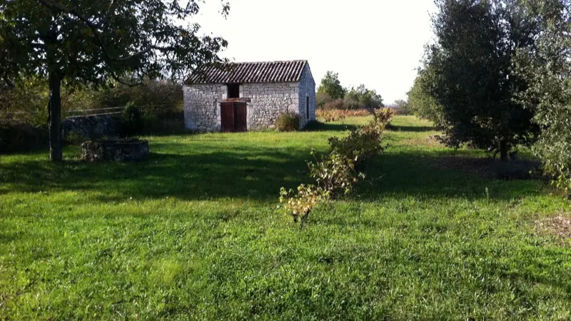 Lalbenque - Grange