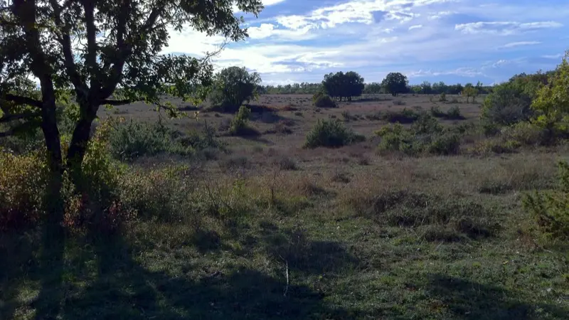 Lalbenque - Paysage