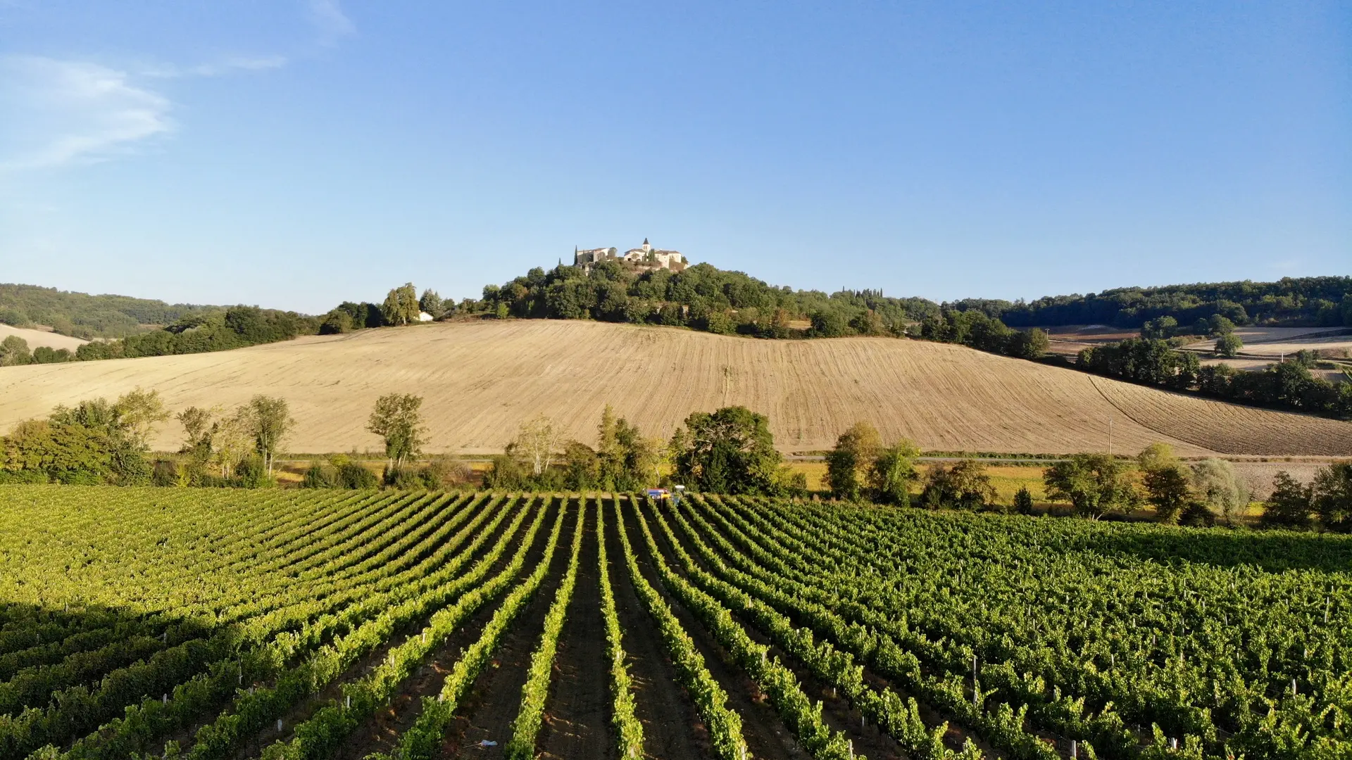 Domaine de Cauquelle