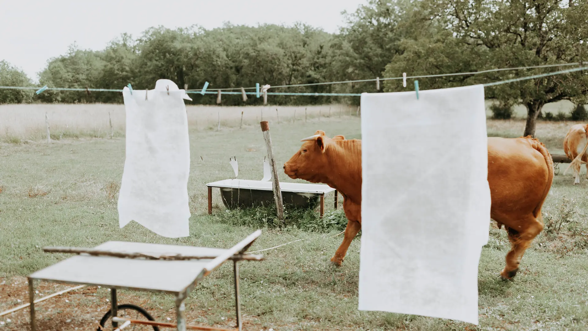 JJAKPhotographe Photo couverture