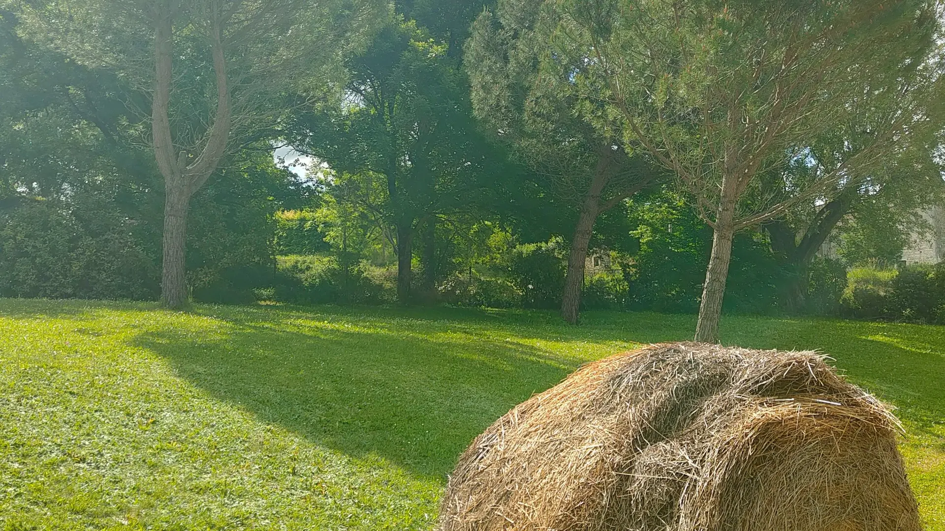 Jardin