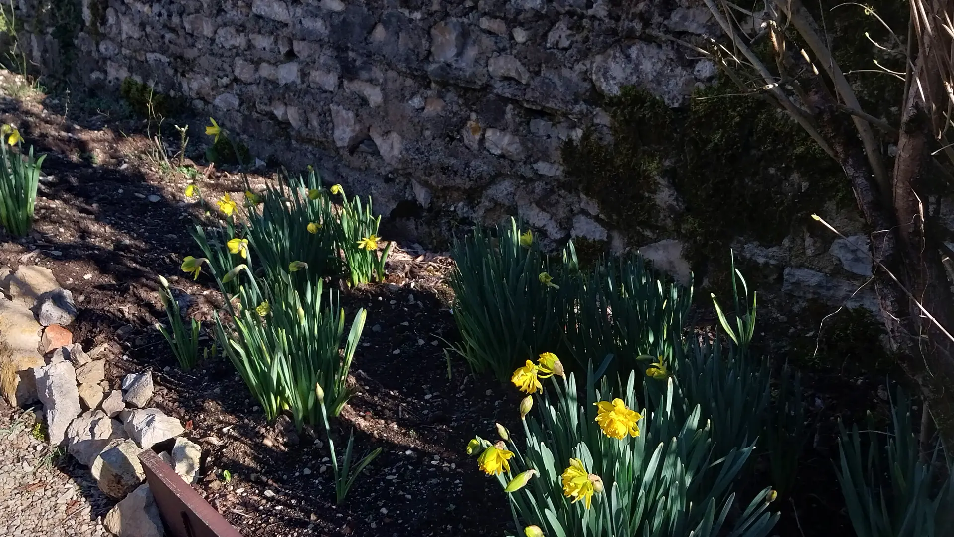 Jardin Les Volets Rouges 1