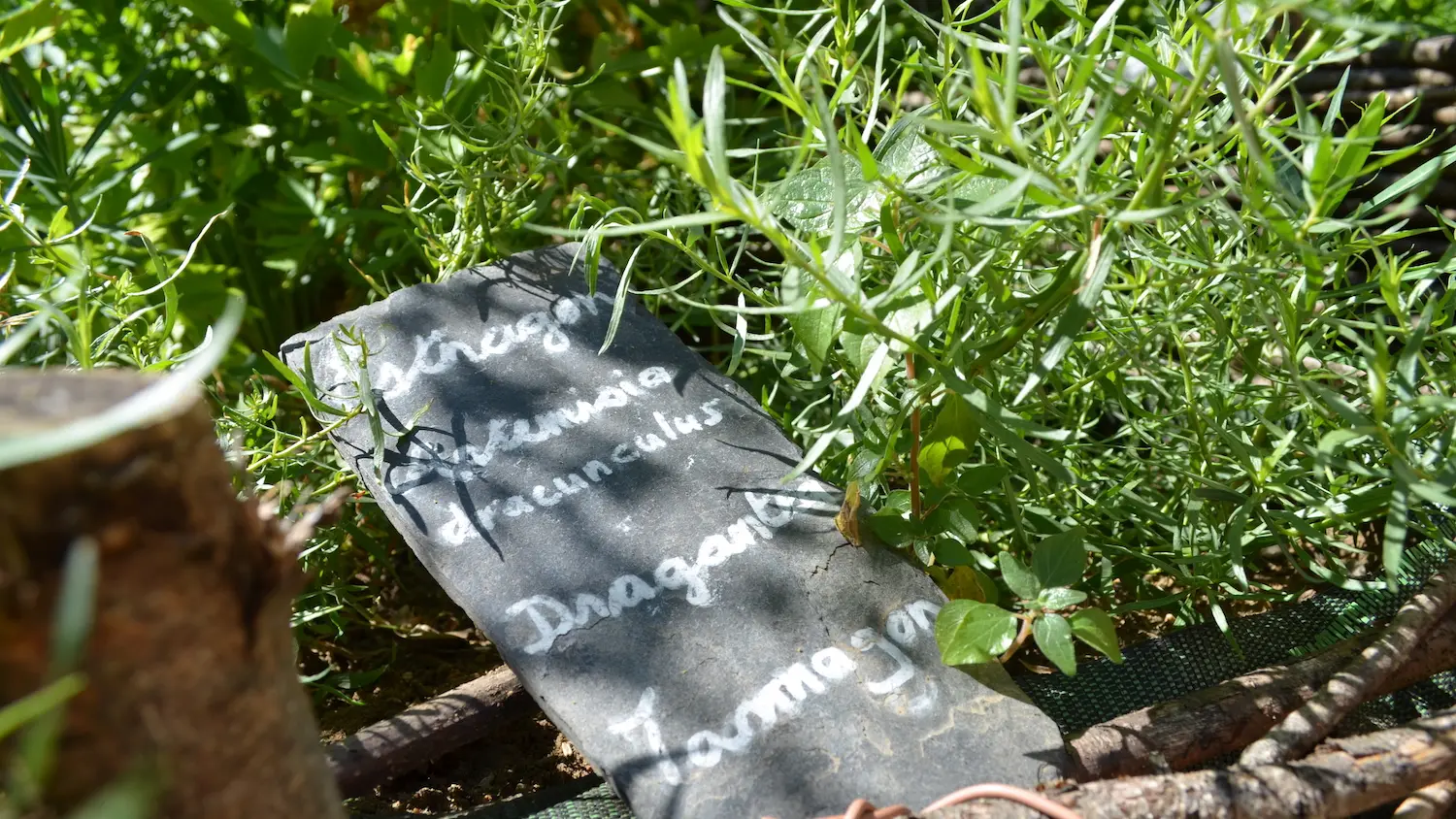 Jardins du Sénéchal - Potager