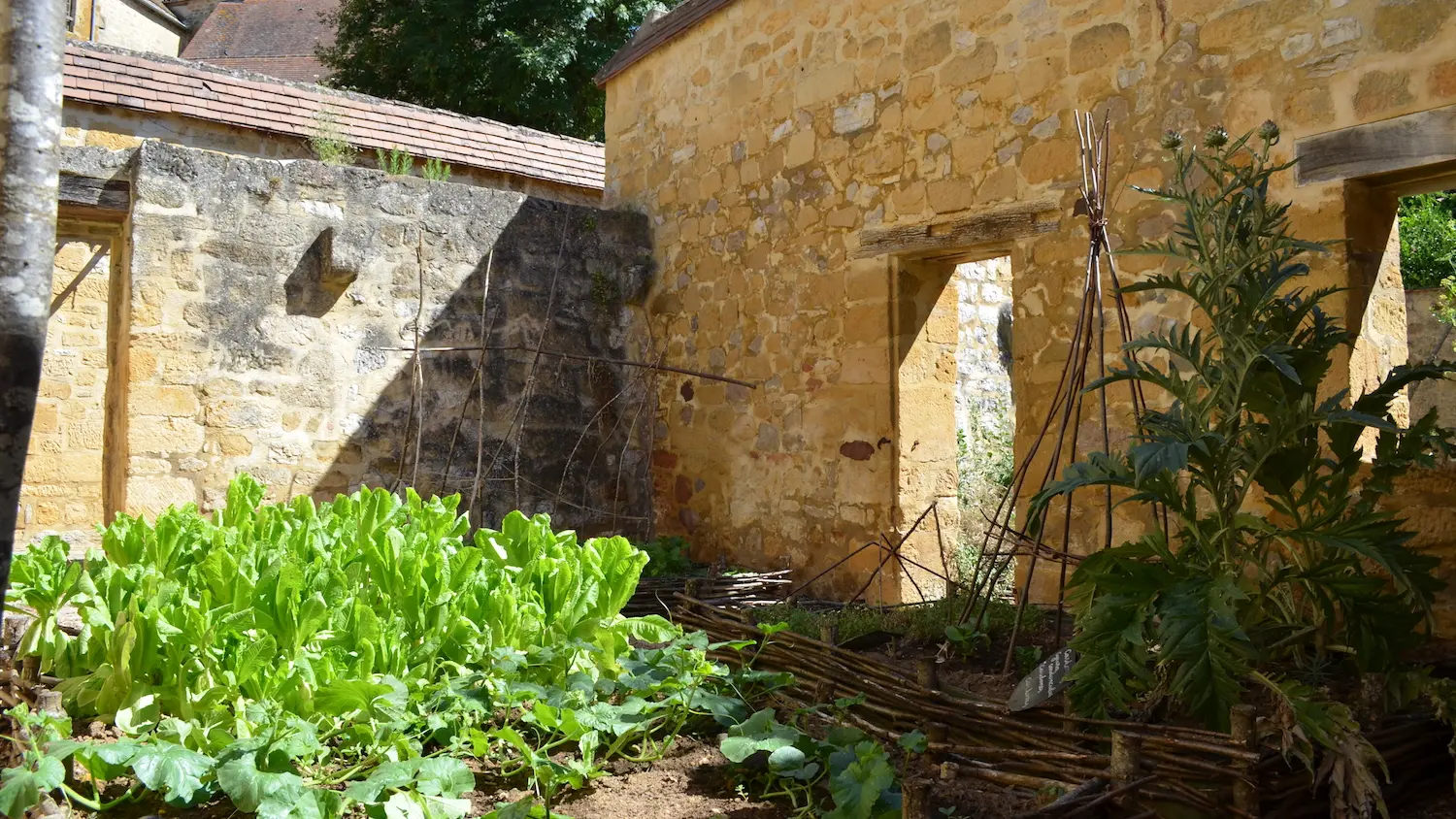 Jardins du Sénéchal - Potager 2