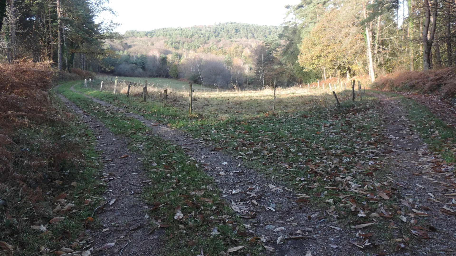 Joli chemin