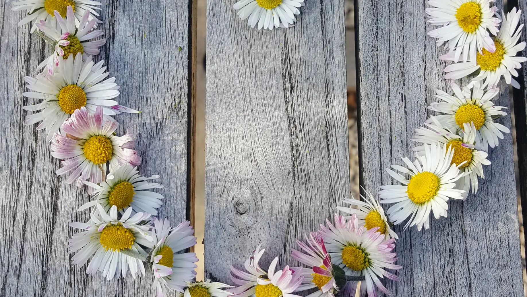 L'Atelier du Reyrand - Coeur