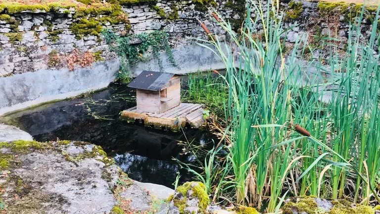 L'ancien abreuvoir à l'automne