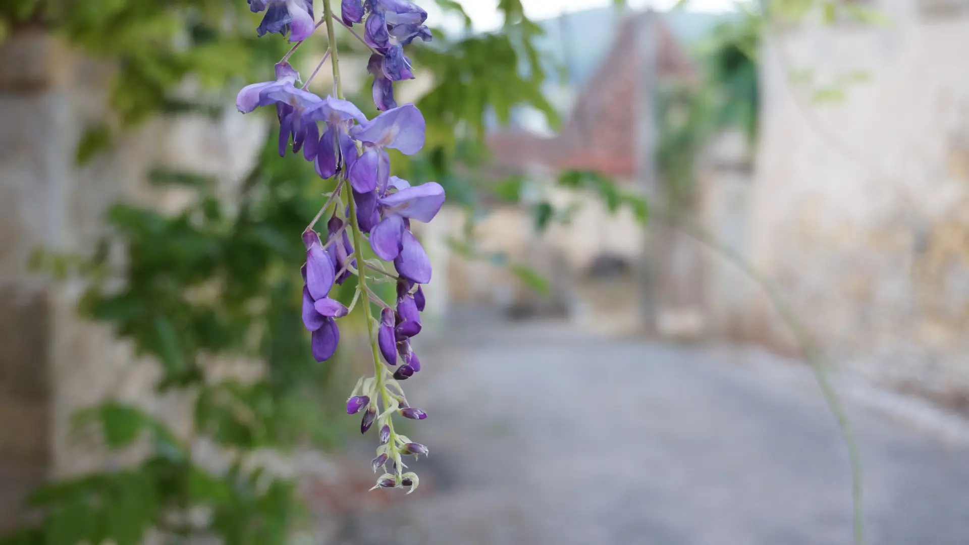 Parcours Sonore du Vigan en Quercy