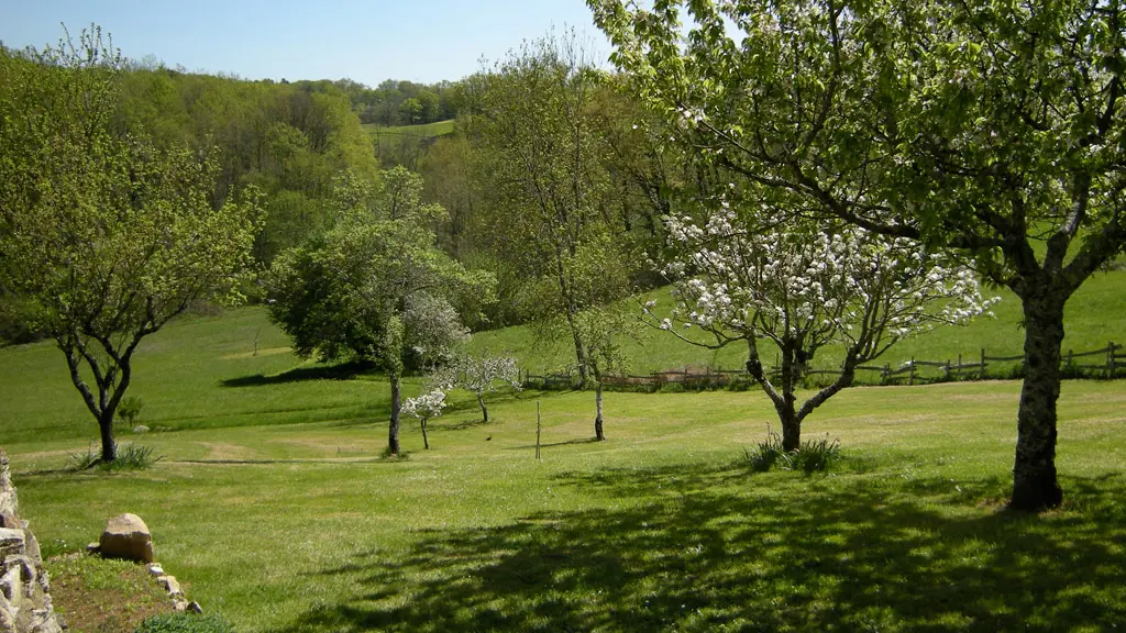 La Métairie des Songes - Jardin