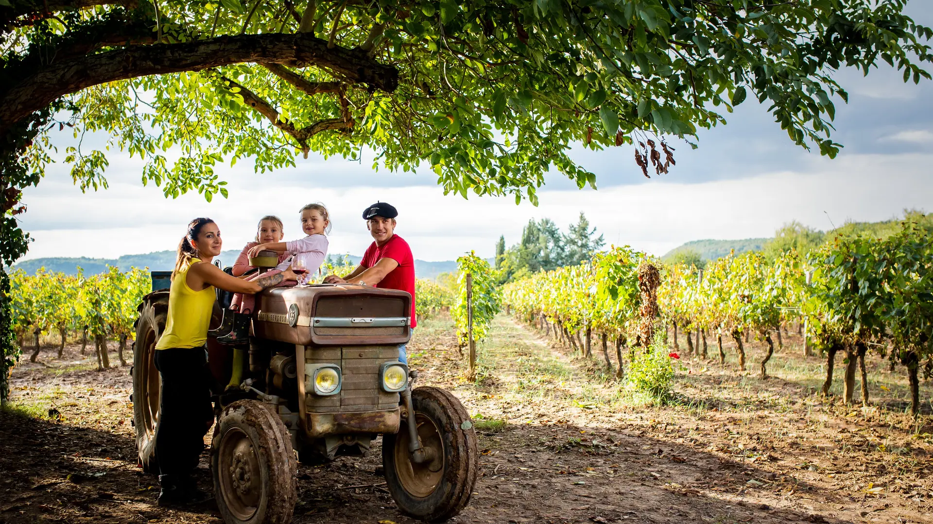 Vendanges du Domaine La Paganie