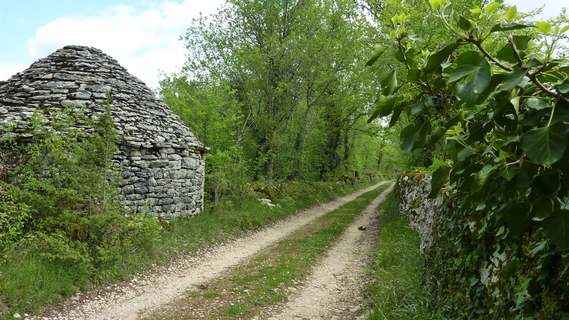 La Plante - Entre cazelles et murets de pierres © Lot Tourisme - C. Sanchez