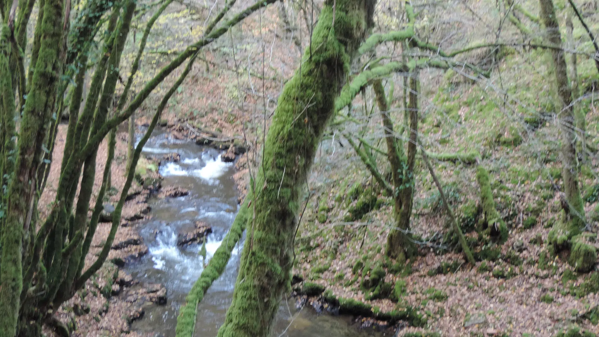 La Valeine suit les courbes