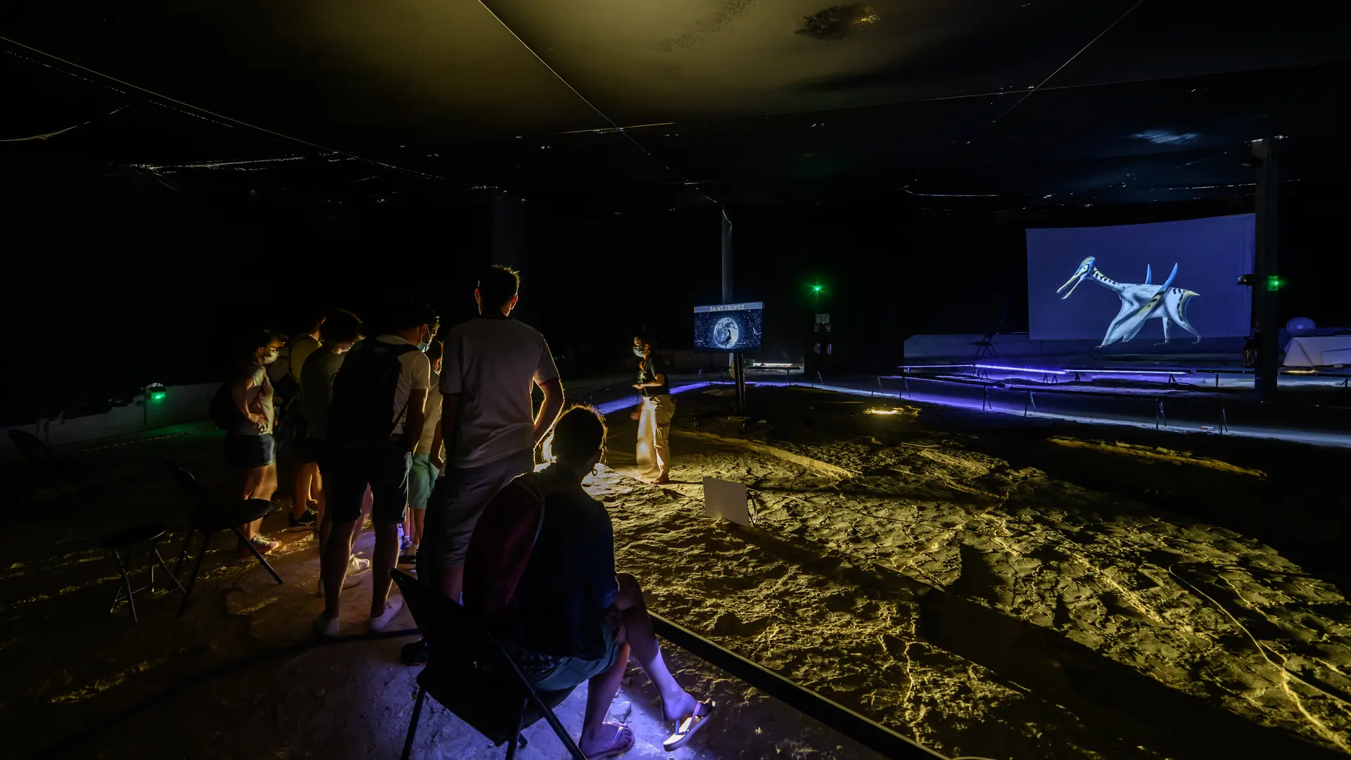 La plage aux ptérosaures © Christian Lauzin (87)