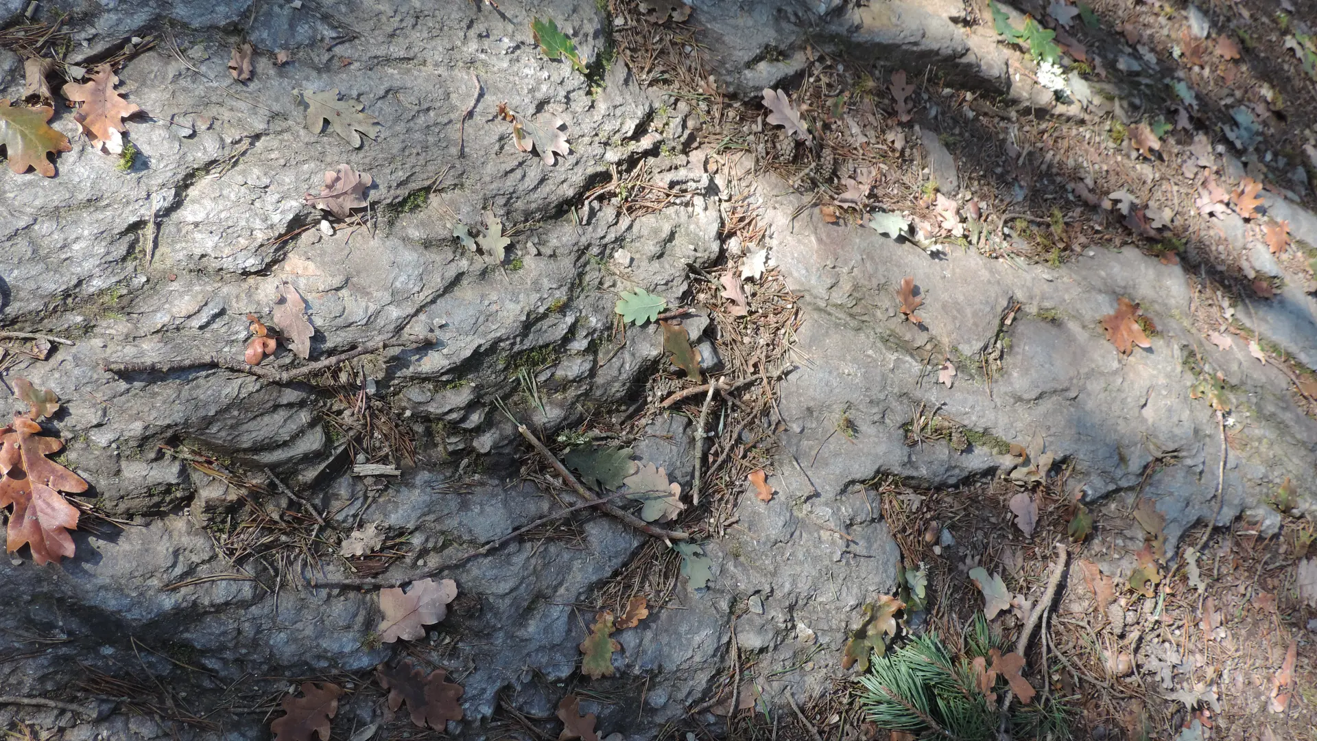 La roche affleure le chemin