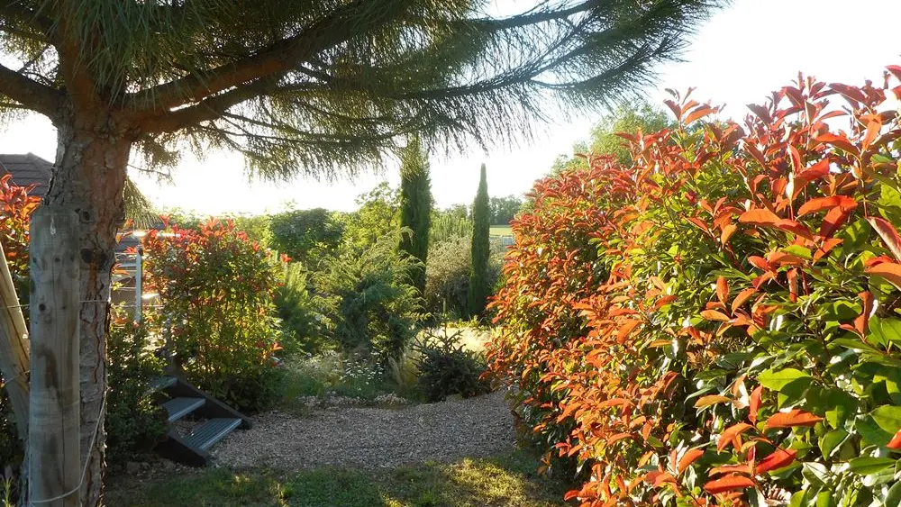 LaVigneDuCausse_jardin