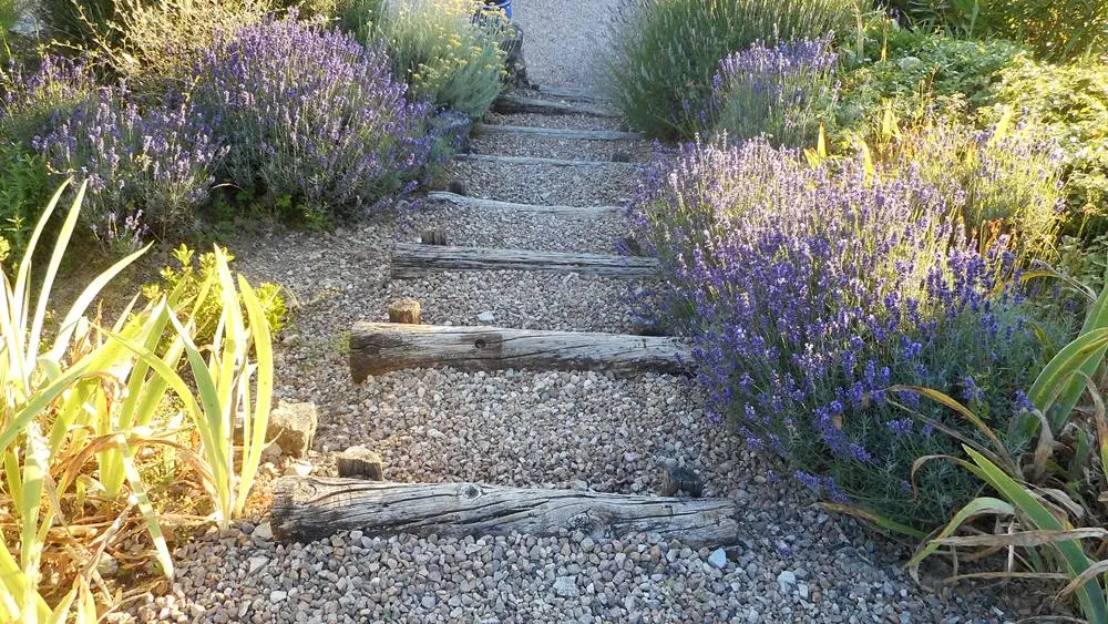 LaVigneDuCausse_jardin3