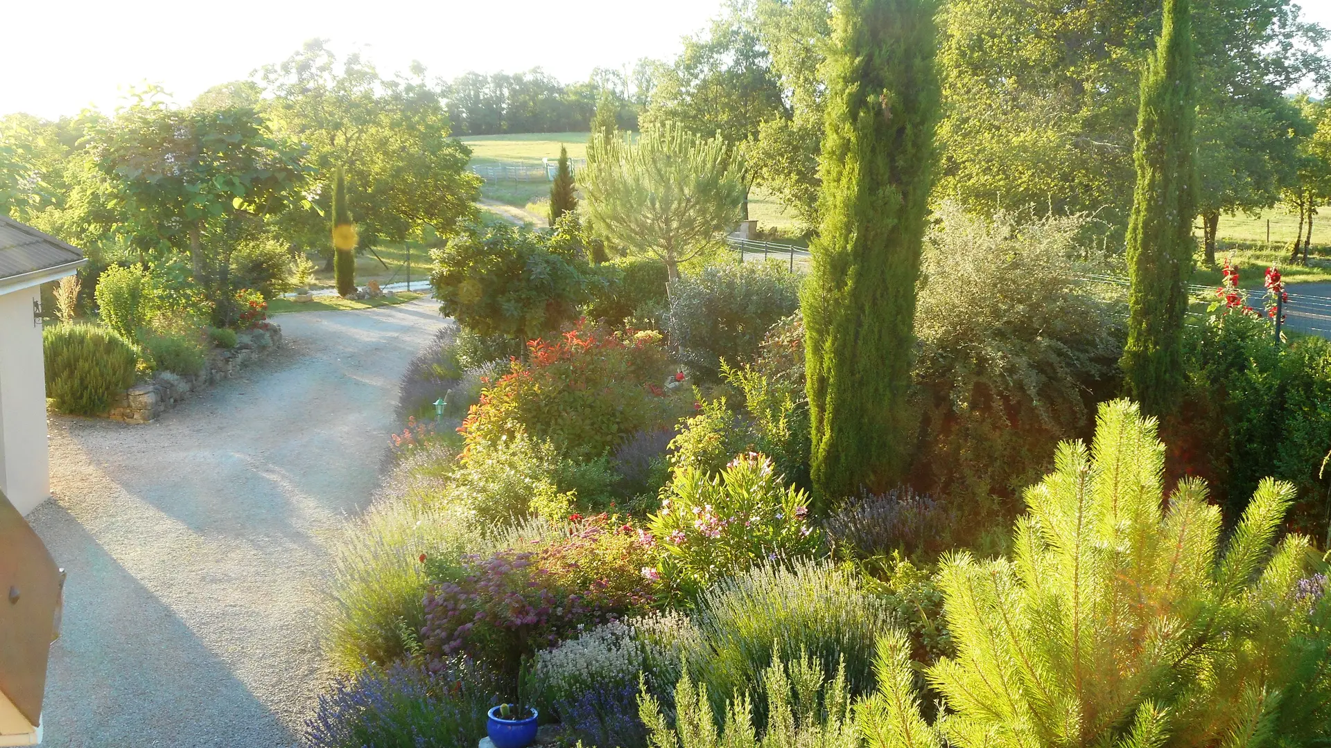 LaVigneDuCausse_jardin4