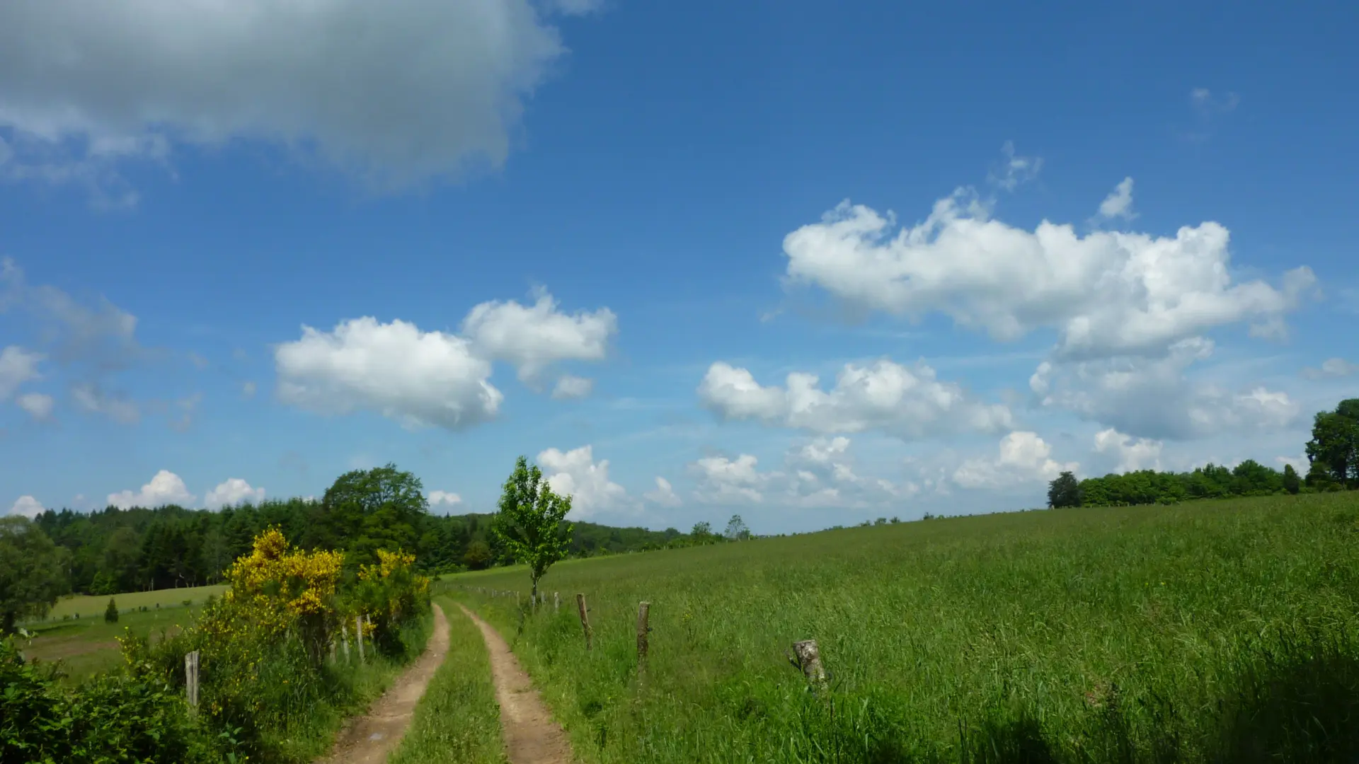 Lacam d'Ourcet - Entres parcelles agricoles _06 © Lot Tourisme - C. Sanchez