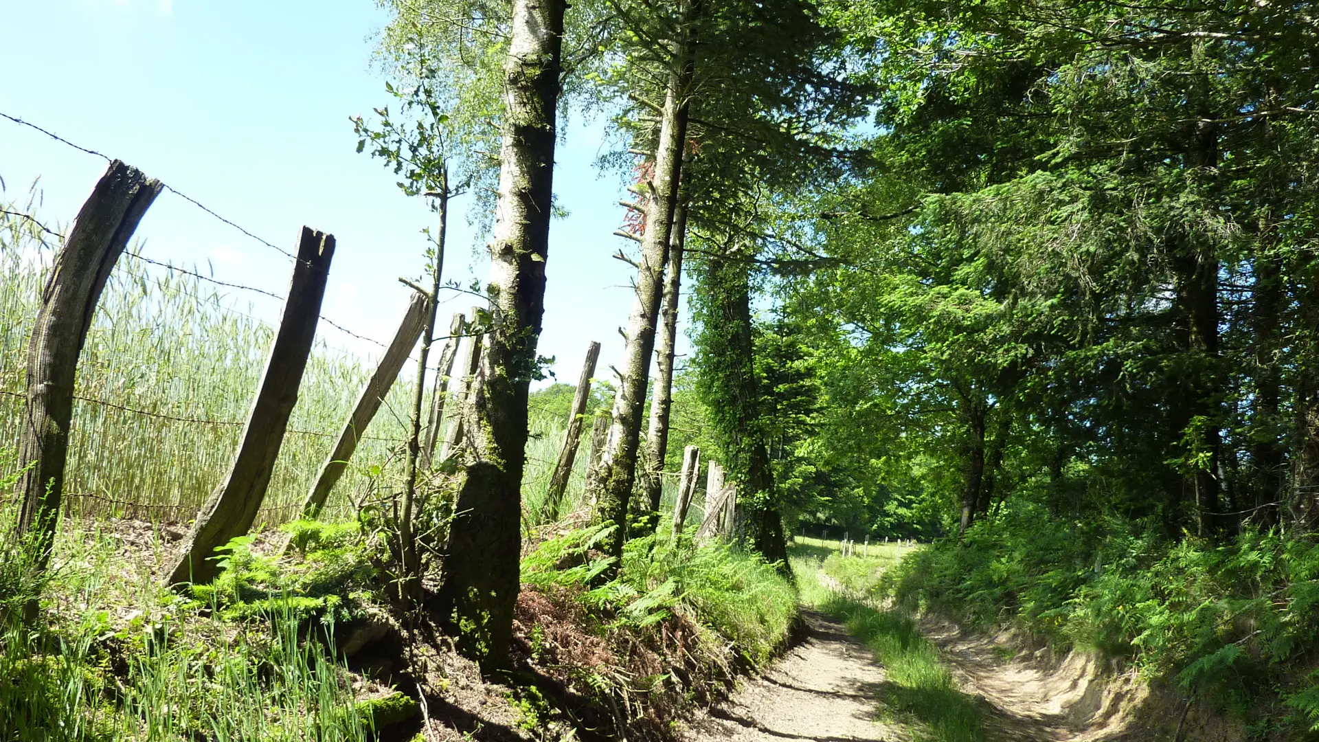 Lacam d'Ourcet - Sous bois_07 © Lot Tourisme - C. Sanchez